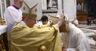 Cardenal Parolin en la ordenación: Un obispo da su vida por su rebaño